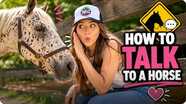 How to Talk to a Horse: Using Your Voice