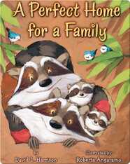 A Perfect Home for a Family