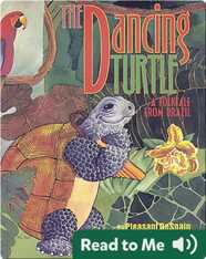 The Dancing Turtle