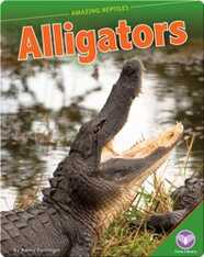 Amazing Reptiles: Alligators