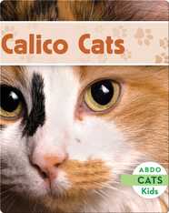 Calico Cats