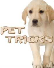 Pet Tricks