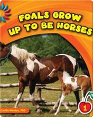 Foals Grow Up To Be Horses
