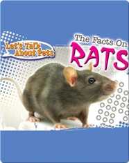 Let's Talk About Pets: The Facts On Rats