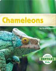 Chameleons