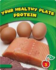 Your Healthy Plate: Protein