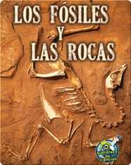 Los fósiles y las rocas
