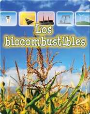 Los biocombustibles