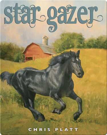 Star Gazer book
