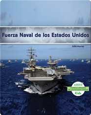 Fuerza Naval de los Estados Unidos
