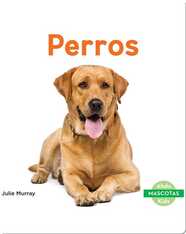 Perros