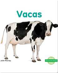 Vacas