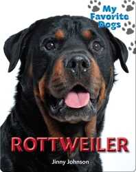 Rottweiler book