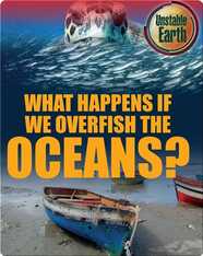 What Happens if we Overfish the Oceans?