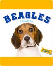 Beagles