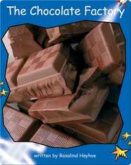 The Chocolate Factory