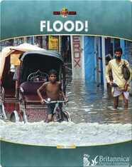 Flood!