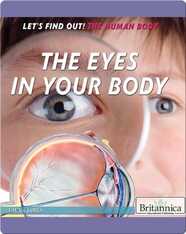 The Eyes in Your Body