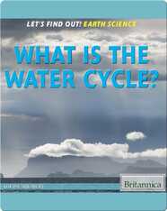 What Is the Water Cycle?