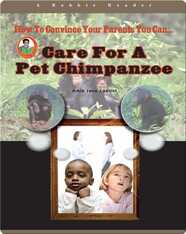 Care for a Pet Chimpanzee