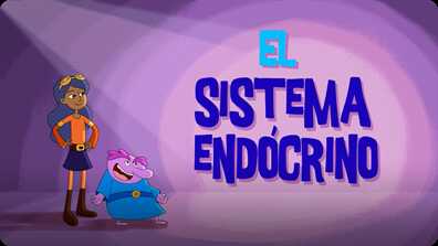 Sistema endócrino book