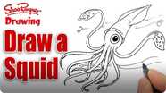 How to Draw a Squid