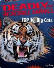 Top 10 Big Cats
