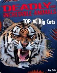 Top 10 Big Cats book