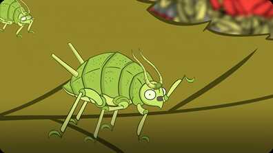 I'm an Aphid book