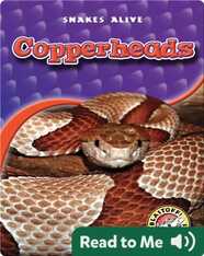Copperheads
