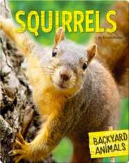 Squirrels