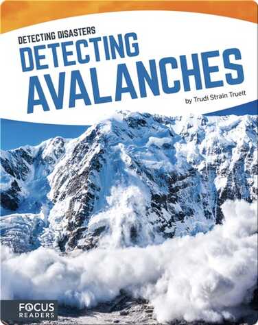 Detecting Avalanches book