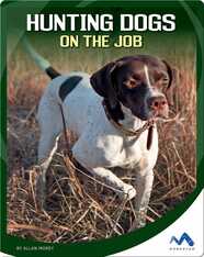 Hunting Dogs on the Job