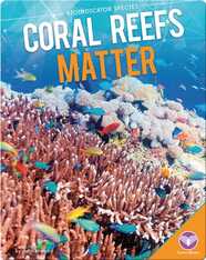 Coral Reefs Matter