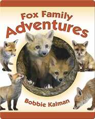 Fox Family Adventures