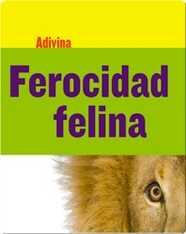 Ferocidad felina: León