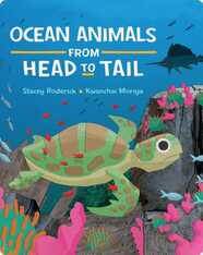 Ocean Animals from Head to Tail