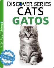 Cats / Gatos