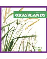 Grasslands