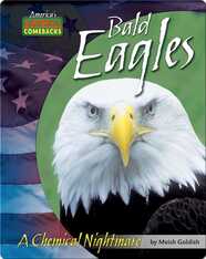 Bald Eagles: A Chemical Nightmare