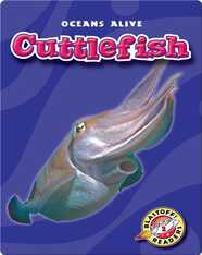 Cuttlefish
