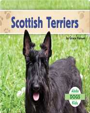 Scottish Terriers
