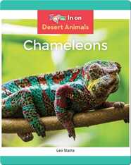Chameleons
