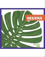 Selvas (Rain Forests)