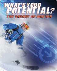 What's Your Potential?