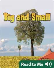 Big and Small