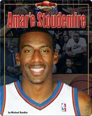 Amar'e Stoudemire