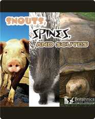 Snouts, Spines, and Scutes