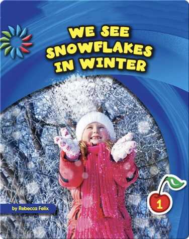 We See Snowflakes in Winter book