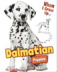 Dalmatian Puppies
